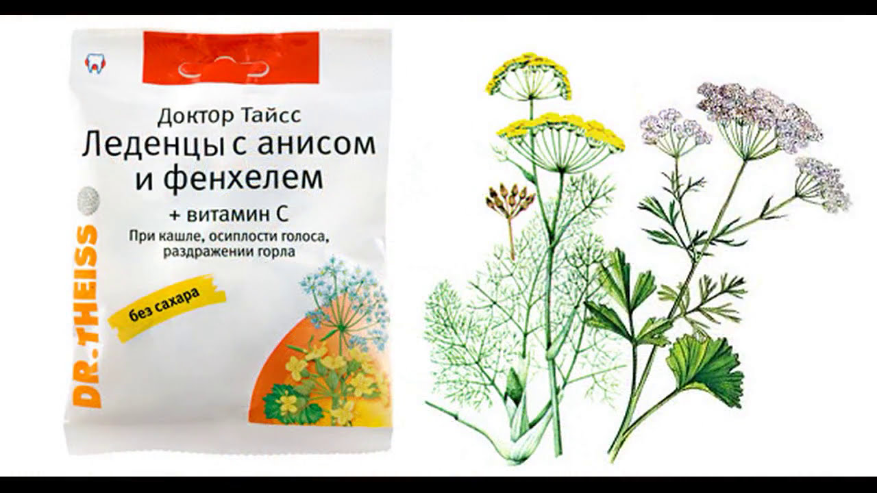 Таинственный мир анисового вкуса